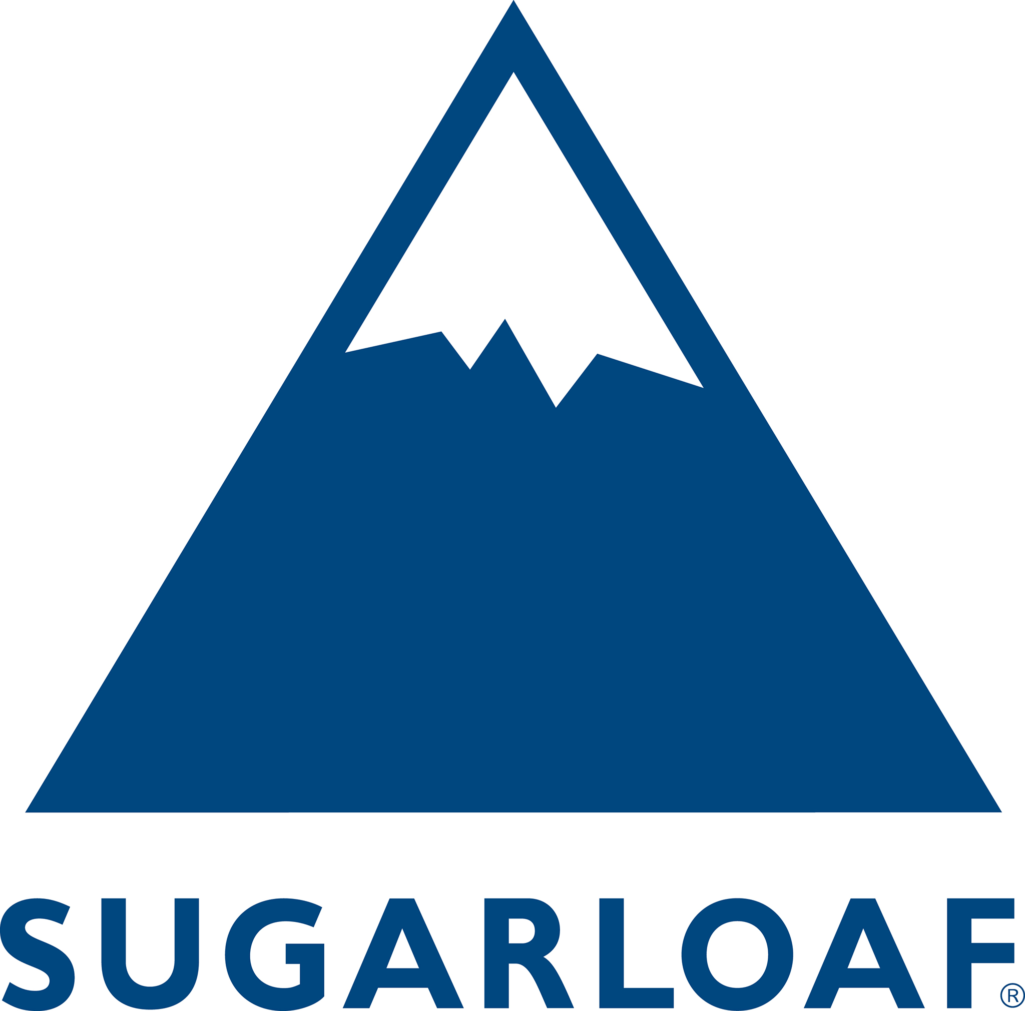 Director of Marketing
